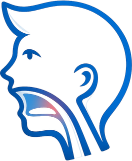 Side view of a head showing the throat passage